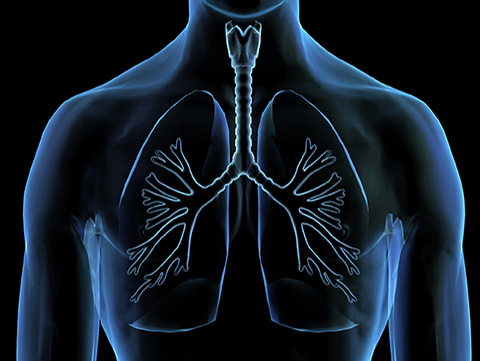 Early Lung Screening Program | Holy Cross Health